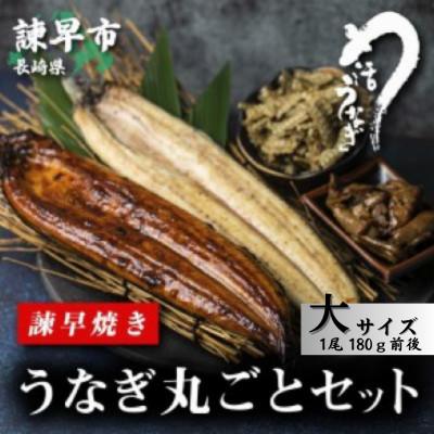 ふるさと納税 諫早市 [諫早淡水]うなぎ まるごとセット 大サイズ(1尾180g前後)