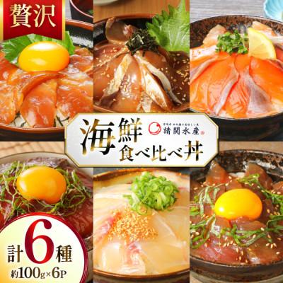 ふるさと納税 日向市 海鮮丼 6種 計600g(100g×6パック)贅沢食べ比べ