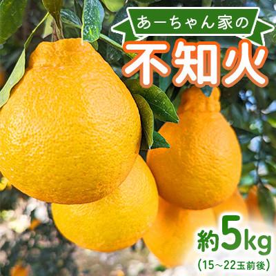 ふるさと納税 宇城市 先行予約 不知火 [2027年4月上旬〜発送予定]あーちゃん家の不知火 約5kg[早川果樹園]