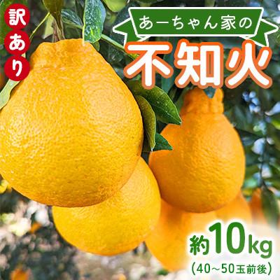 ふるさと納税 宇城市 先行予約 不知火 [2027年4月上旬〜発送予定]あーちゃん家の不知火 訳あり 約10kg[早川果樹