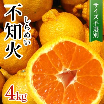 ふるさと納税 宇城市 [先行予約 2026年1月下旬〜発送予定] 不知火 約4kg サイズ不選別 (宇城市)