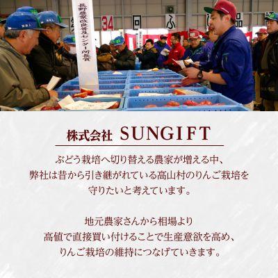 ふるさと納税 高山村 【2026年先行受付】日本で最も美しい村ー信州高山村ー　旬のりんご約5kg入り【訳あり品】 |  | 02