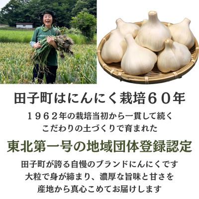 ふるさと納税 田子町 濃厚な味わいの田子町ブランド!たっこにんにくM 