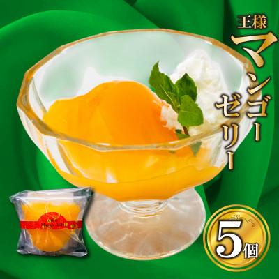 ふるさと納税 須崎市 マンゴーゼリー5個