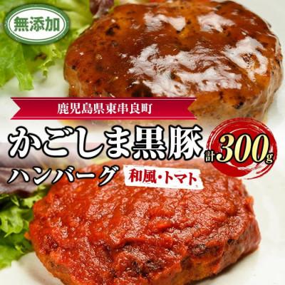 ふるさと納税 東串良町 鹿児島黒豚 100%使用!!無添加 ハンバーグ(2種:和風・トマト)[0075137a]