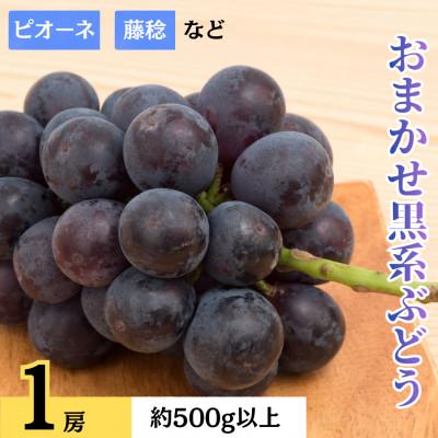 ふるさと納税 都留市 おまかせ黒系ぶどう(藤稔・ピオーネなど) 1房 約500g以上