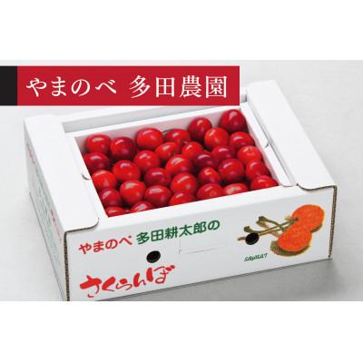ふるさと納税 中山町 [2026年 先行受付][山形美人]バラ詰 500g