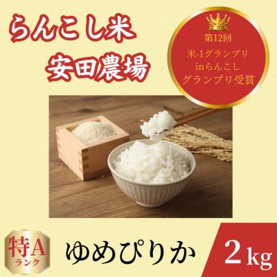 ふるさと納税 蘭越町 令和7年産らんこし米 特別栽培米 安田農場 ゆめぴりか 精米2kg