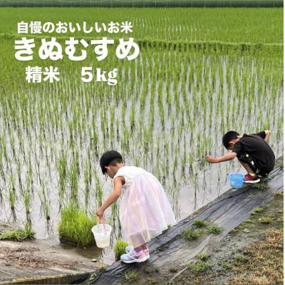 ふるさと納税 岡山市 [令和7年産]岡山県産 きぬむすめ 精米 5kg(5kg×1袋)