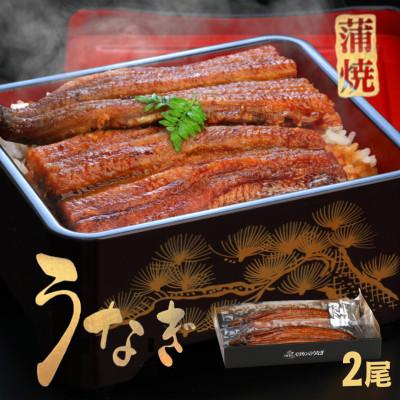 ふるさと納税 藍住町 [2尾入]うなぎ蒲焼 化粧箱入り 地元老舗うなぎ加工会社より真空でお届け!
