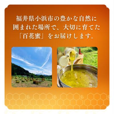 ふるさと納税 小浜市 はちみつOBAMA 600g×2瓶_3