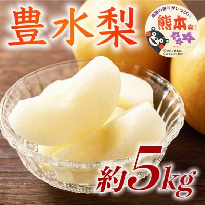 ふるさと納税 錦町 熊本県 フルーツの町 錦町 特産品 ジューシーな梨! 豊水梨 6〜18玉 約5kg (錦町)