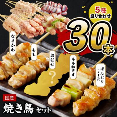 ふるさと納税 京丹後市 [国産]焼き鳥セット 5種 30本 盛り合わせ(10本+5本×4袋) もも ぼんじりなど食べ比べ