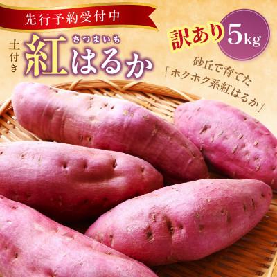 ふるさと納税 京丹後市 訳あり 京丹後産 土付き 紅はるか(さつまいも) 5kg(2026年11月上旬〜発送) ご家庭用