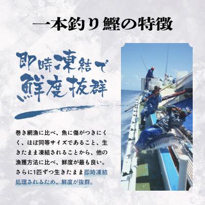 ふるさと納税 枕崎市 【Yahoo!ふるさと納税限定】1本釣り血合抜き炭焼鰹たたき1.2kg 2種類のタレ付 A3-123 |  | 03