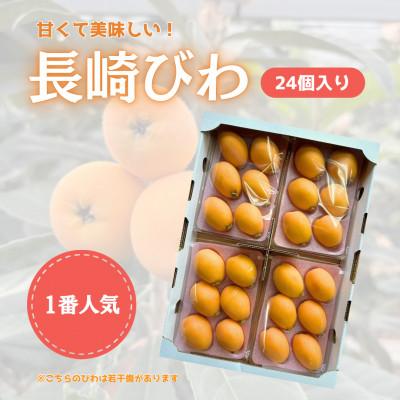 ふるさと納税 長崎市 長崎県産ハウスびわ 計1キロ Lサイズ24個入り