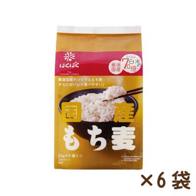 ふるさと納税 中央市 [はくばく]国産もち麦(50g×6袋入り)×6袋