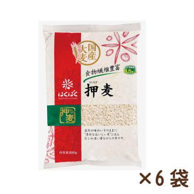 ふるさと納税 中央市 [はくばく]押麦 800g×6袋