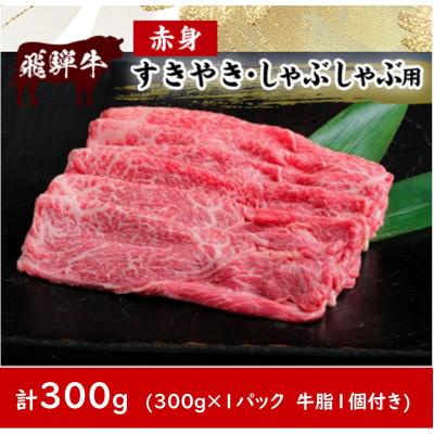 ふるさと納税 瑞穂市 飛騨牛赤身すきやき・しゃぶしゃぶ用 300g