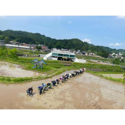 ふるさと納税 十日町市 「まつだい棚田バンク」 小口コース(30平方メートル)