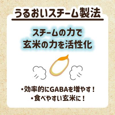 ふるさと納税 中央市 【はくばく】もっちり美味しい発芽玄米+もち麦　1,000g×6袋 |  | 03