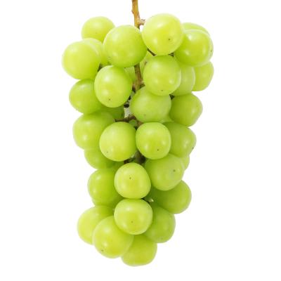 ふるさと納税 笛吹市 2026年発送　シャインマスカット　1房(約700g) |  | 01