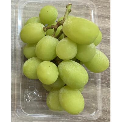 ふるさと納税 観音寺市 [大収穫祭・感謝企画]ご家庭用シャインマスカットパック 約1.4kg(3〜4パック)