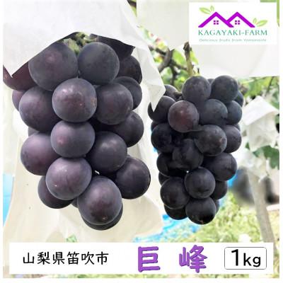 ふるさと納税 笛吹市 [2026年7月下旬より順次発送]種なし巨峰 約1kg