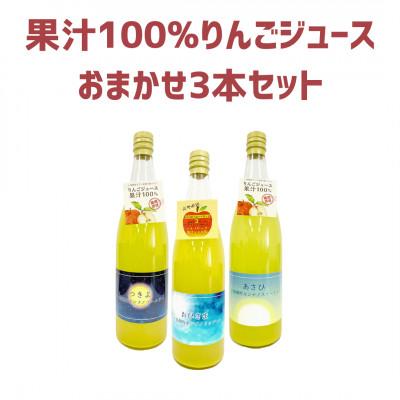 ふるさと納税 飯綱町 相澤農園 りんごジュース おまかせ3本セット 100% 720ml×3本