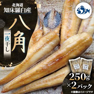 ふるさと納税 羅臼町 北海道 知床羅臼産 八角 一夜干し 250g×2パック