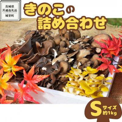 ふるさと納税 那珂市 きのこの詰め合わせ Sサイズ(約1kg)[茨城県共通返礼品:城里町]