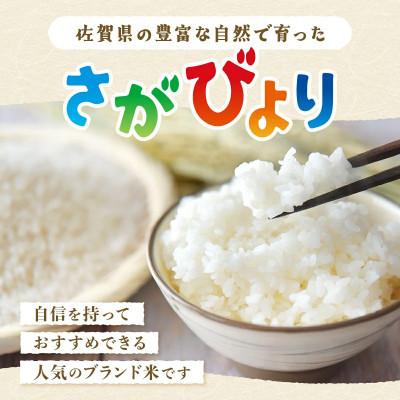 ふるさと納税 鹿島市 【お米マイスター厳選】令和7年産 佐賀県産 さが