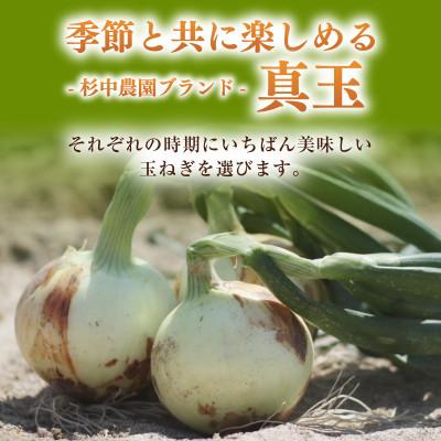 ふるさと納税 西尾市 口に広がる優しい甘さの玉ねぎ 〜真玉〜 10kg(箱の重さ込み)・S098の画像