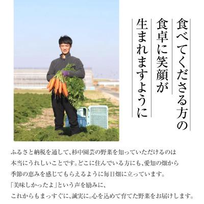 ふるさと納税 西尾市 口に広がる優しい甘さの玉ねぎ 〜真玉〜 10kg(箱の重さ込み)・S098の画像
