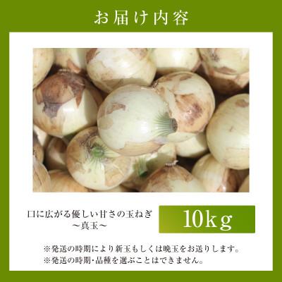 ふるさと納税 西尾市 口に広がる優しい甘さの玉ねぎ 〜真玉〜 10kg(箱の重さ込み)・S098の画像