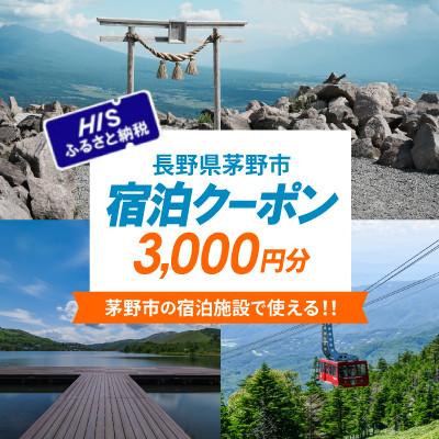 ふるさと納税 茅野市 HISふるさと納税宿泊予約専用クーポン(長野県茅野市)3,000円分