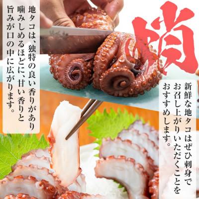 ふるさと納税 阿久根市 鹿児島県産地 たこのゆでたこ 計400g(2〜3杯
