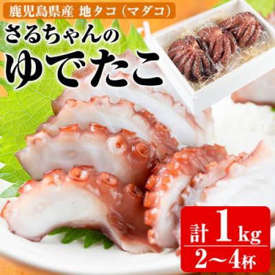 ふるさと納税 阿久根市 鹿児島県産地 たこのゆでたこ 計1kg(2〜4杯)[さるがく水産]akn028-19