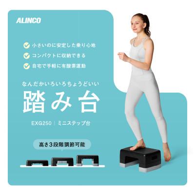 ふるさと納税 高槻市 ミニステップ台/