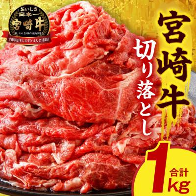 ふるさと納税 宮崎市 宮崎牛切り落とし1kg(500g×2パック)
