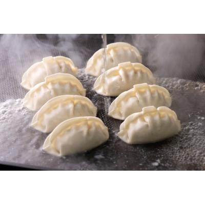 ふるさと納税 岸和田市 [瞬間冷凍:生餃子]王道を超える!肉汁溢れる黒豚餃子 100ケ 合計2kg