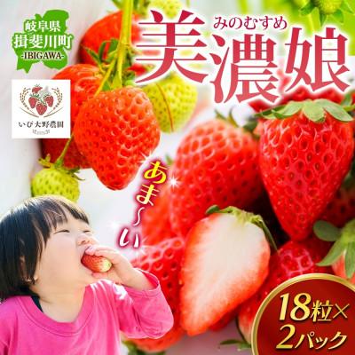 ふるさと納税 揖斐川町 ジューシーで甘い いちご 美濃娘 18粒×2パック いび大野農園 岐阜県 揖斐川町