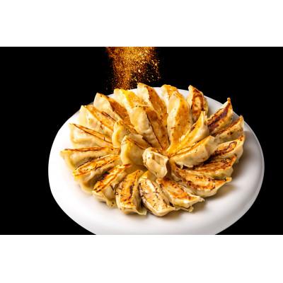 ふるさと納税 岸和田市 [瞬間冷凍:生餃子]お酒と合う?ピリ辛のスパイス餃子 100ヶ 合計2kg