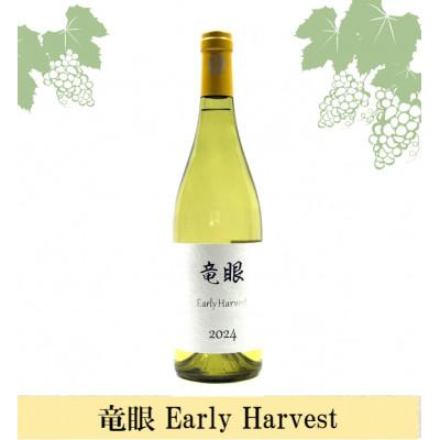 ふるさと納税 長野市 ワイン 竜眼 Early Harvest 750ml×1本