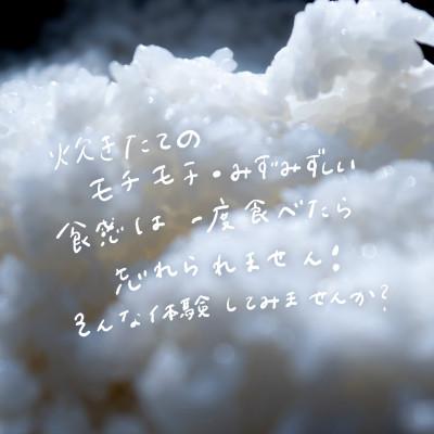 ふるさと納税 つくば市 令和8年産 新米 球児の米 (一等米 ミルキークイーン)白米 30kg(10kg×3袋) |  | 02