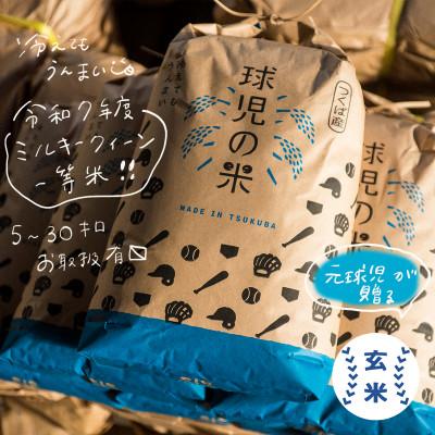ふるさと納税 つくば市 令和7年産 新米 球児の米 (一等米 ミルキークイーン)玄米 5kg