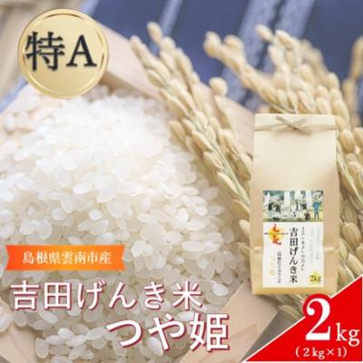 ふるさと納税 雲南市 島根県雲南市産 吉田げんき米 つや姫 2kg(2kg×1)