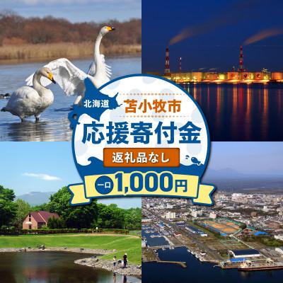 ふるさと納税 苫小牧市 [返礼品なし]北海道苫小牧市 応援寄附金(1,000円)