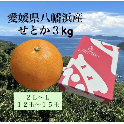 ふるさと納税 八幡浜市 愛媛県八幡浜産「せとか」3kg サイズ2L〜L/12玉〜15玉[F79-28]