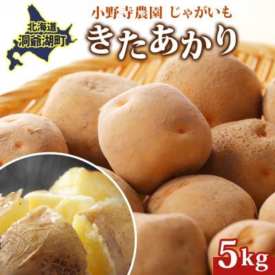 ふるさと納税 洞爺湖町 じゃがいも きたあかり 5kg 先行受付 産地直送 北海道 洞爺湖 2026年9月下旬以降発送予定